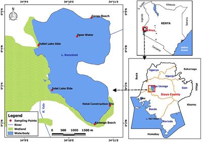 Seasonality in Environmental Conditions Drive Variation in Plankton Communities in a Shallow Tropical Lake